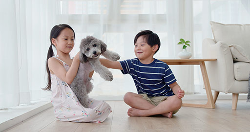 快乐的姐弟俩在客厅和狗玩耍
