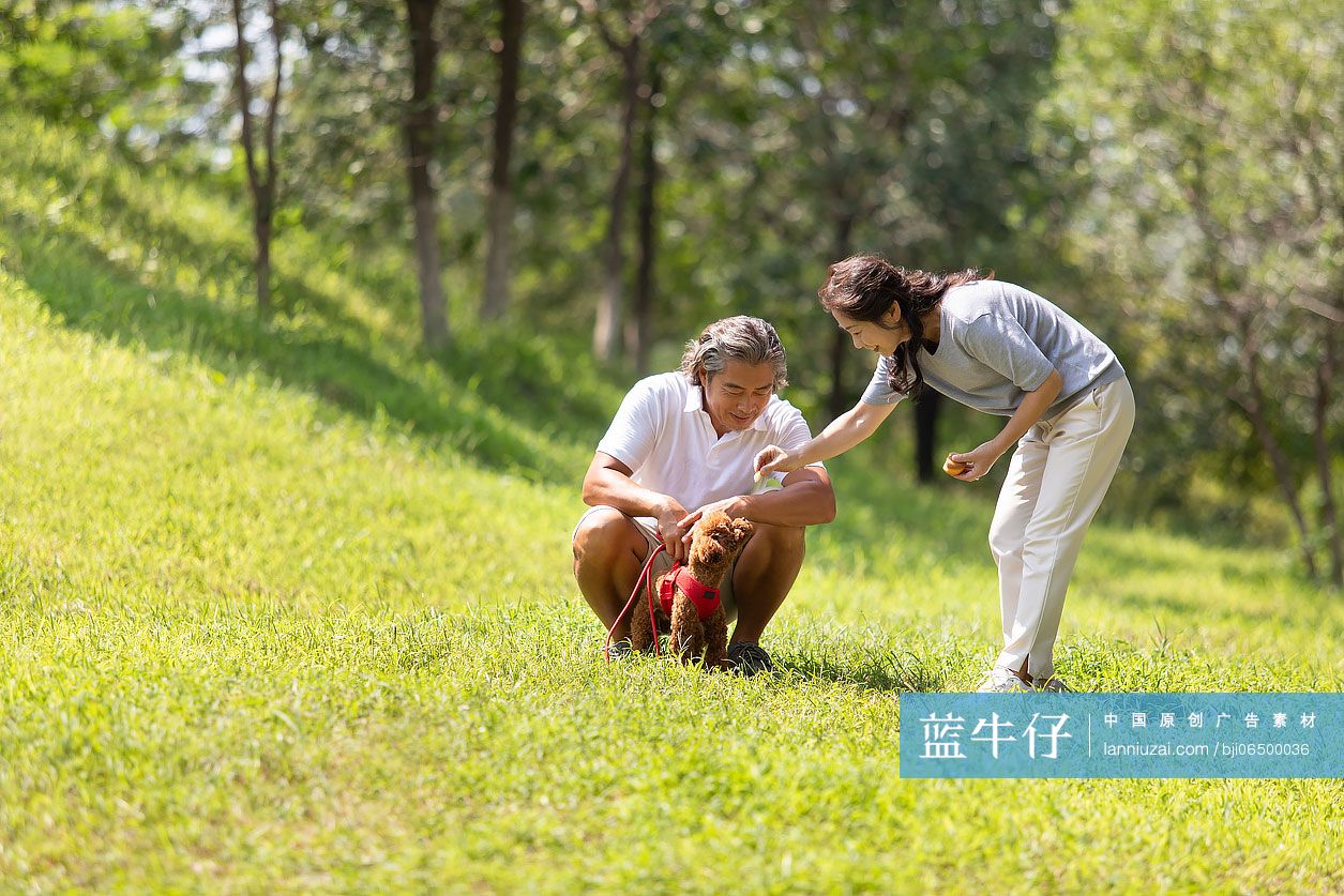 开心的中老年夫妇在公园遛狗