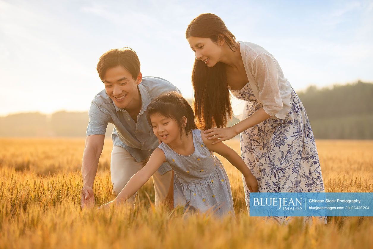 Happy young Chinese family having fun in wheat field