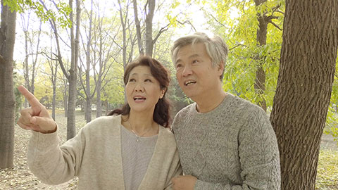 Senior Chinese couple in autumn woods,4K