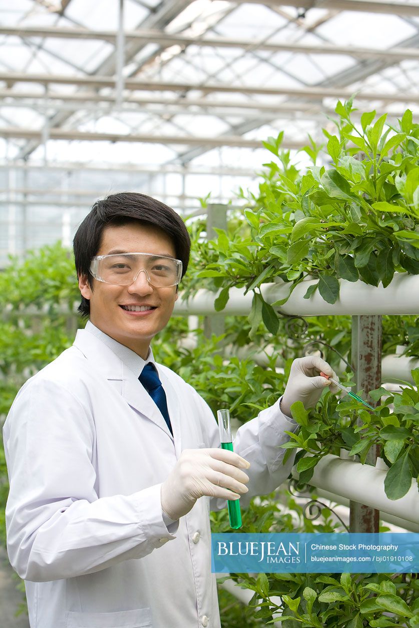 Chinese scientists doing research in modern farm