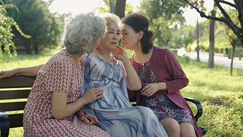 Senior Chinese friends talking in park,4K