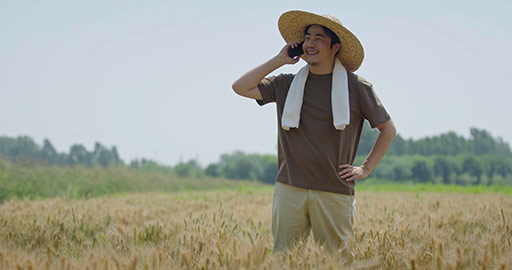 农民在麦田里使用手机打电话
