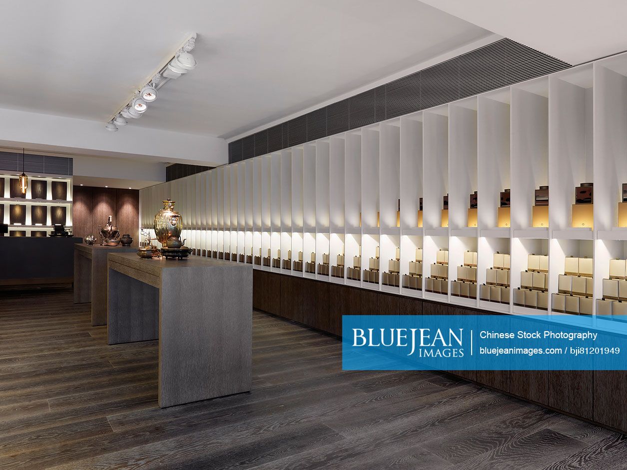 Decorative items on shelves on spacious furniture showroom