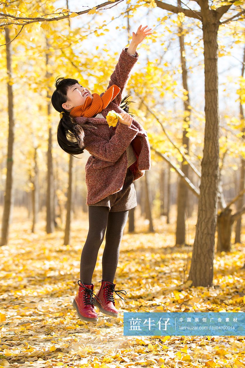 小女孩伸手摘银杏树叶