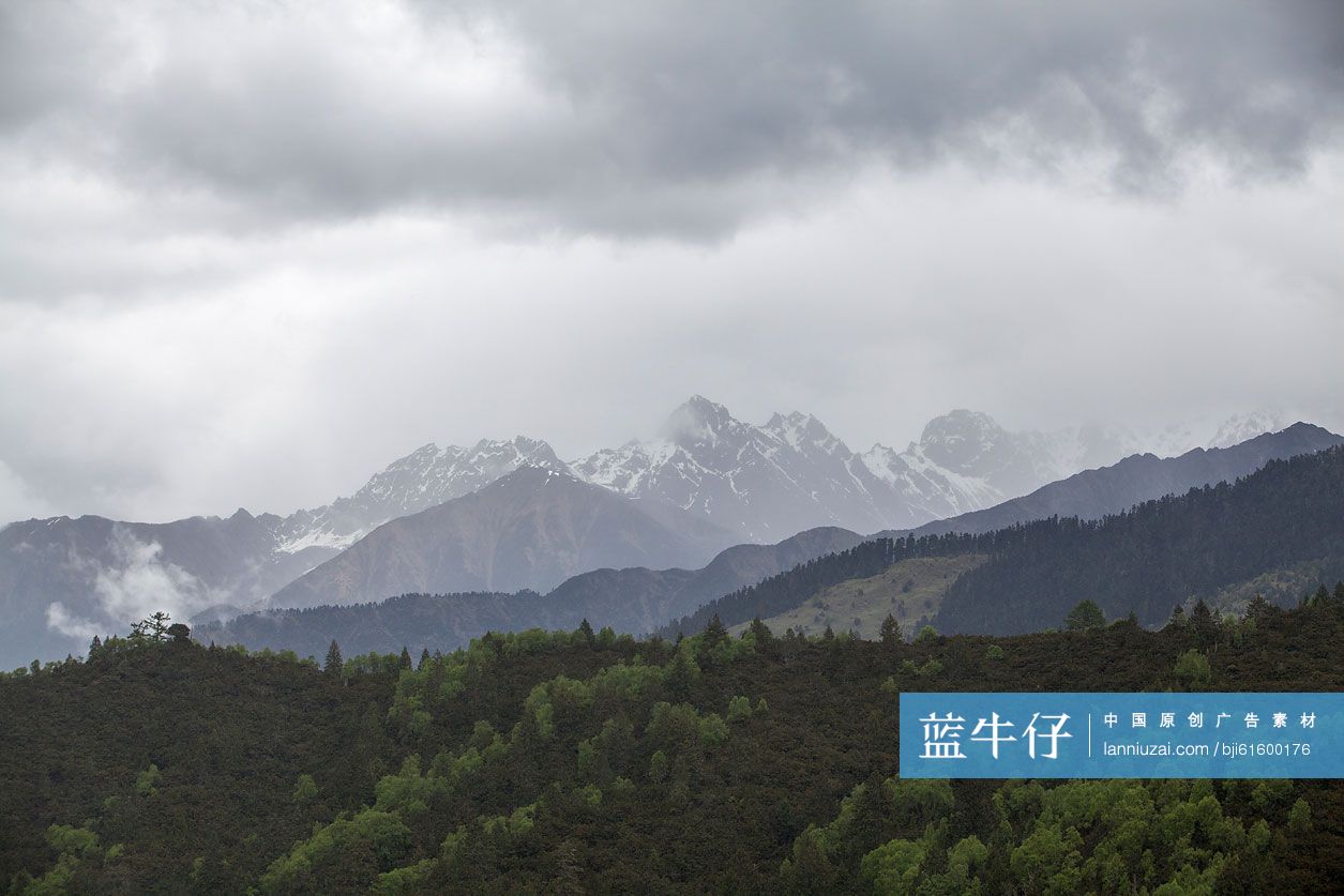 山脉和森林