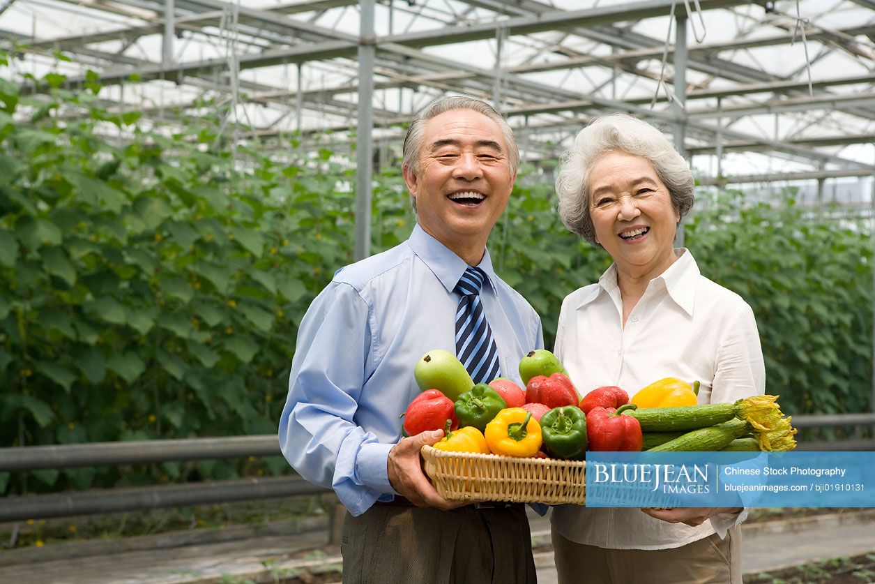 Chinese farmer holding vegetables in modern farm