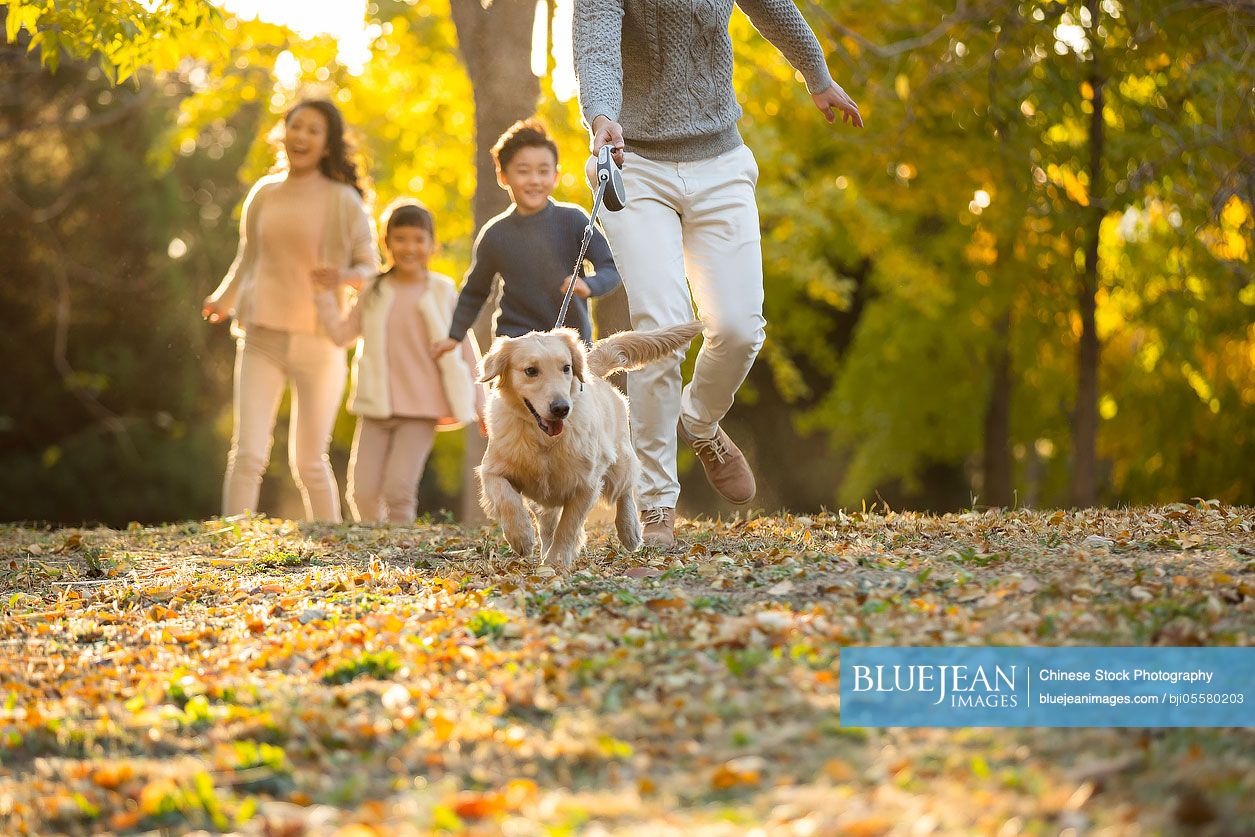 Happy young Chinese family with dog in autumn woods