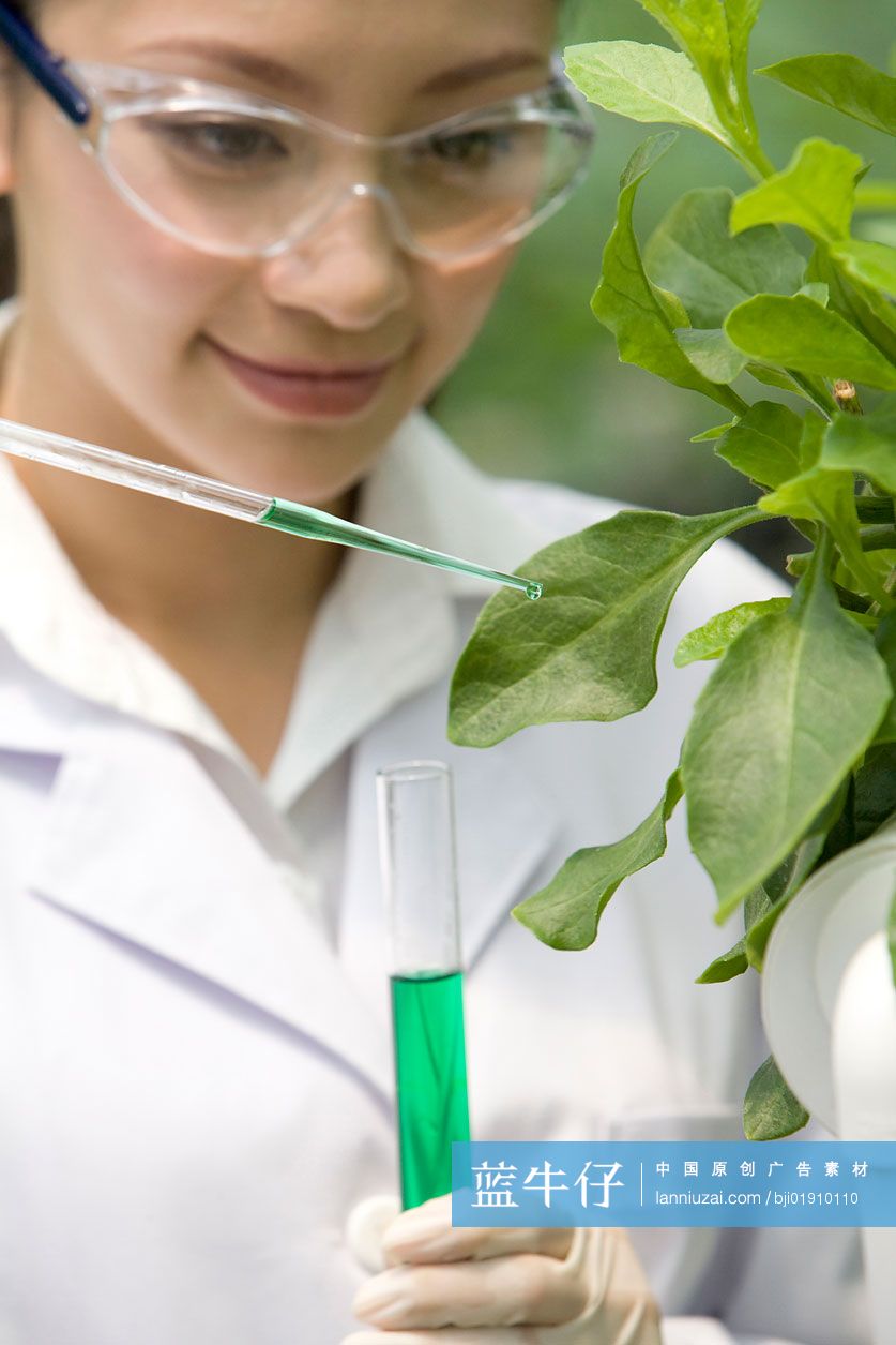 农艺师在现代农庄做科学研究