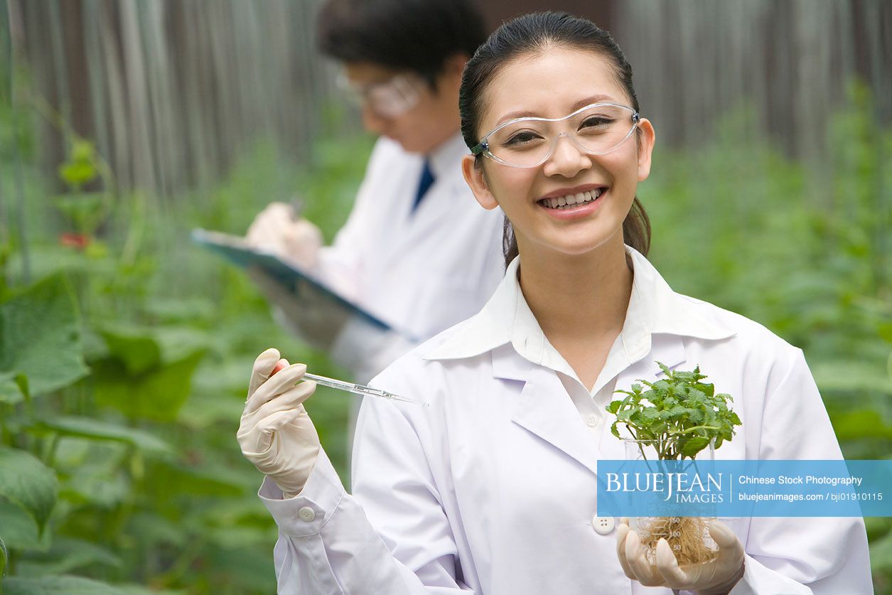 Chinese scientists doing research in modern farm