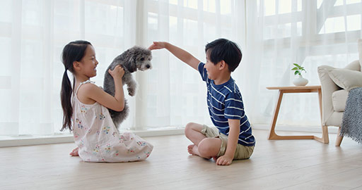 Happy Chinese sibling playing with dog in living room,4K