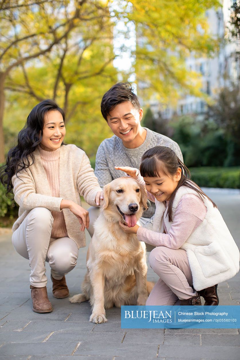 Happy young Chinese family playing with dog