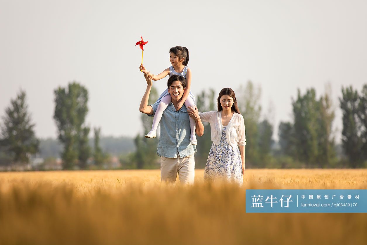 快乐的年轻家庭在麦田里玩耍