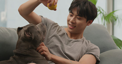 Young Chinese man playing with pet dog at home,4K