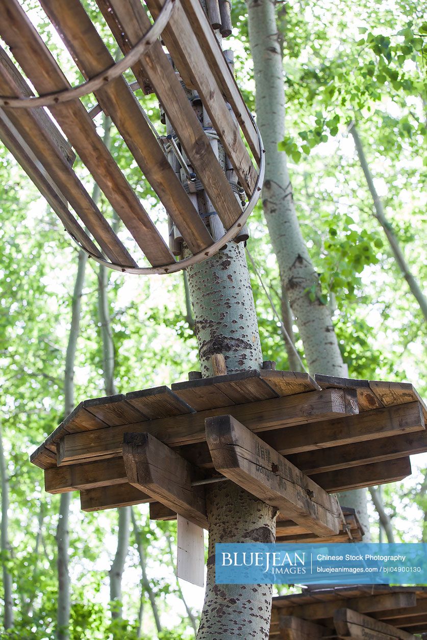 Tree top adventure park