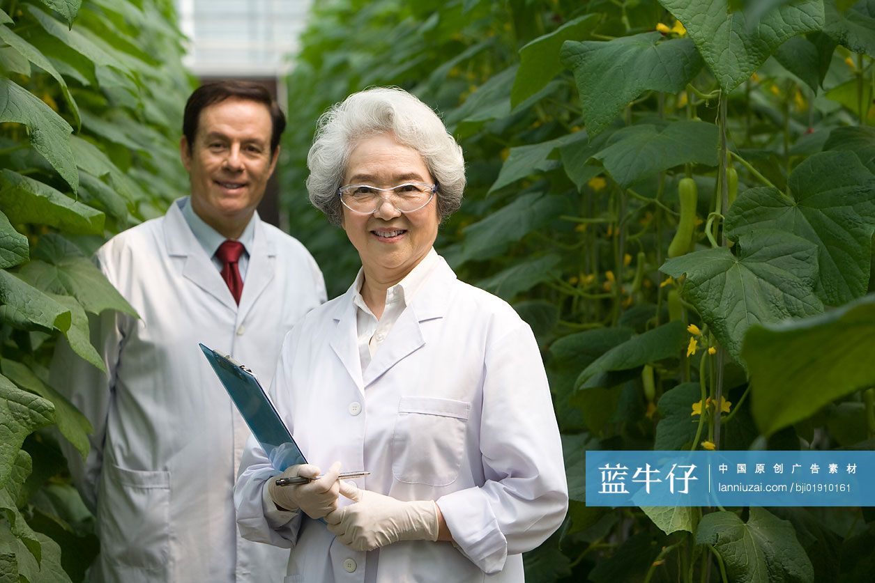 农艺师在现代农庄做科学研究