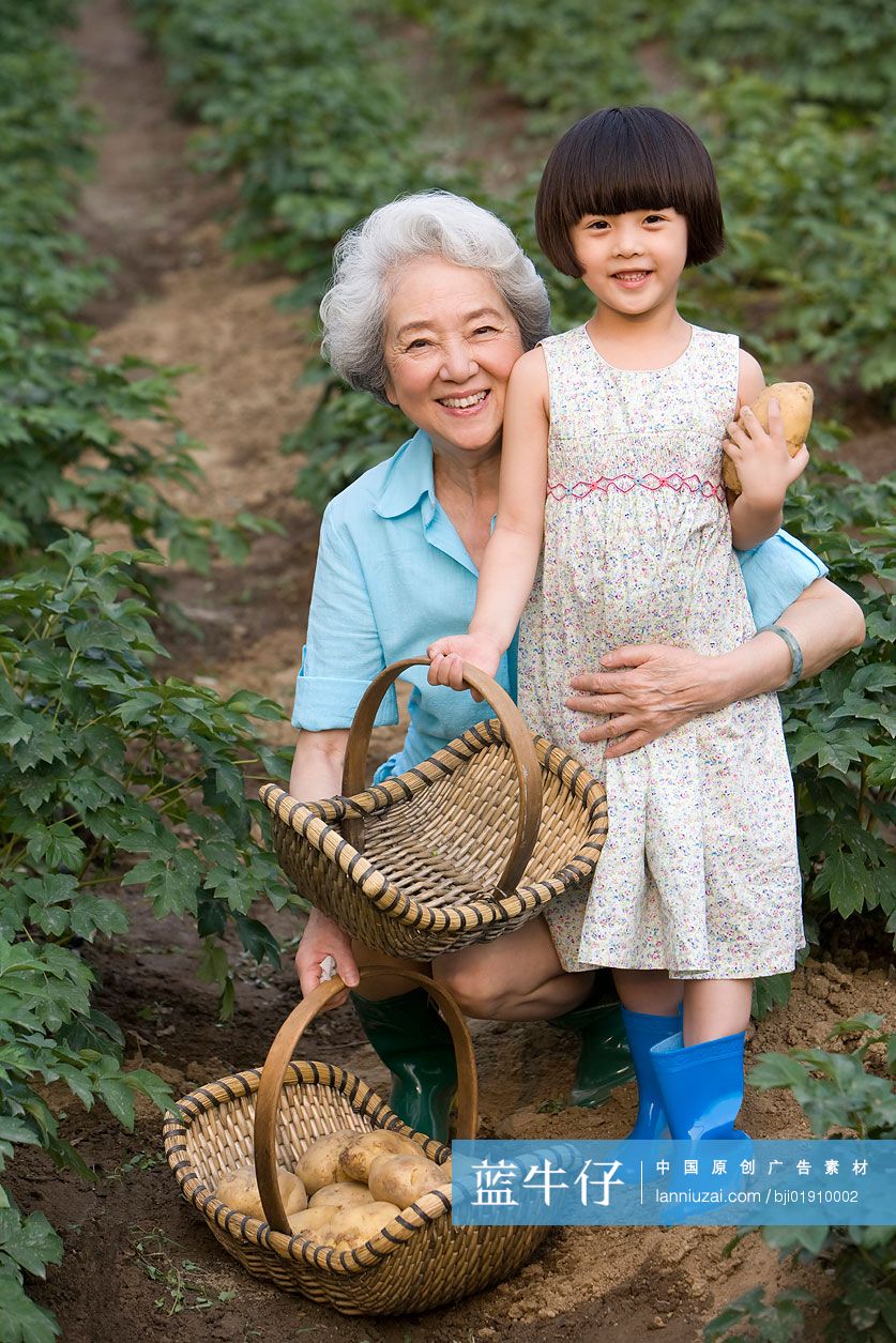 祖母和孙女在采摘