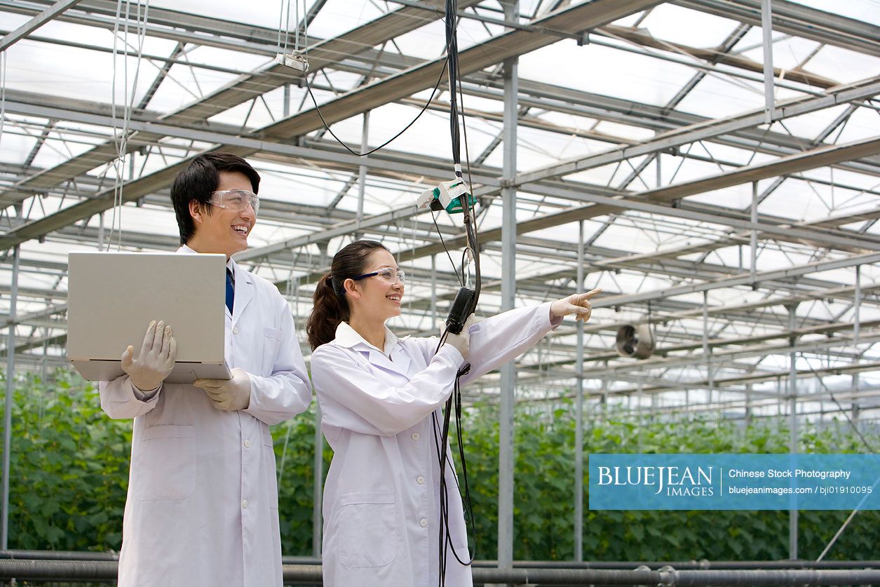 Chinese scientists doing research in modern farm