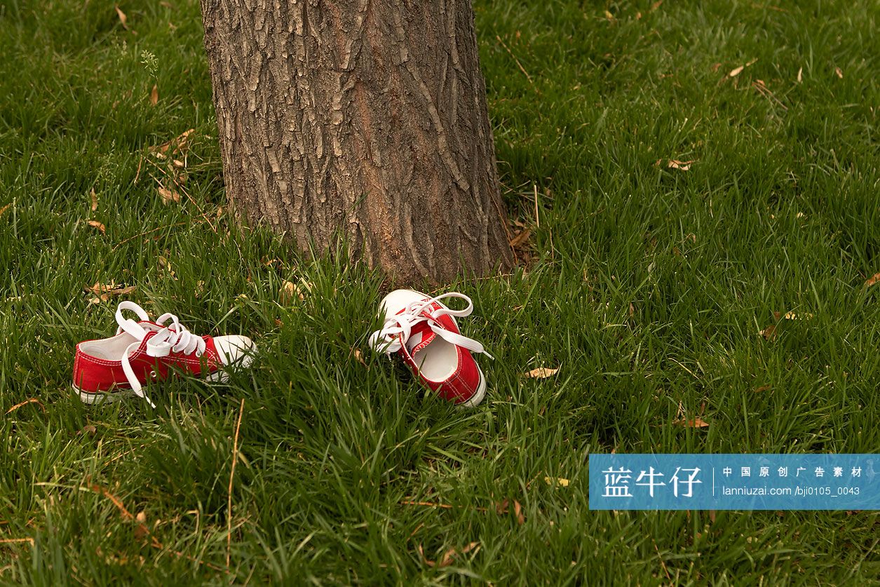 小孩子的鞋子和树木