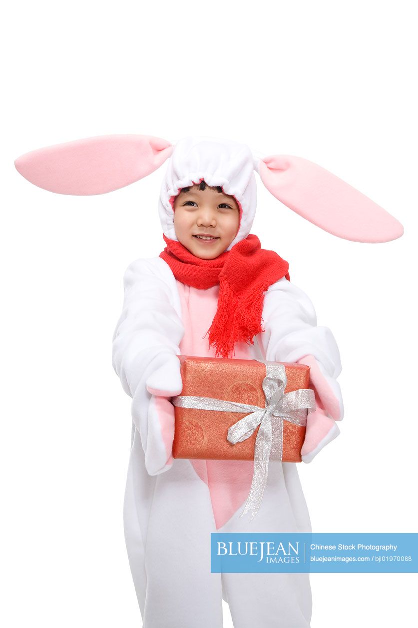 Little Chinese boy celebrating the Year of the Rabbit