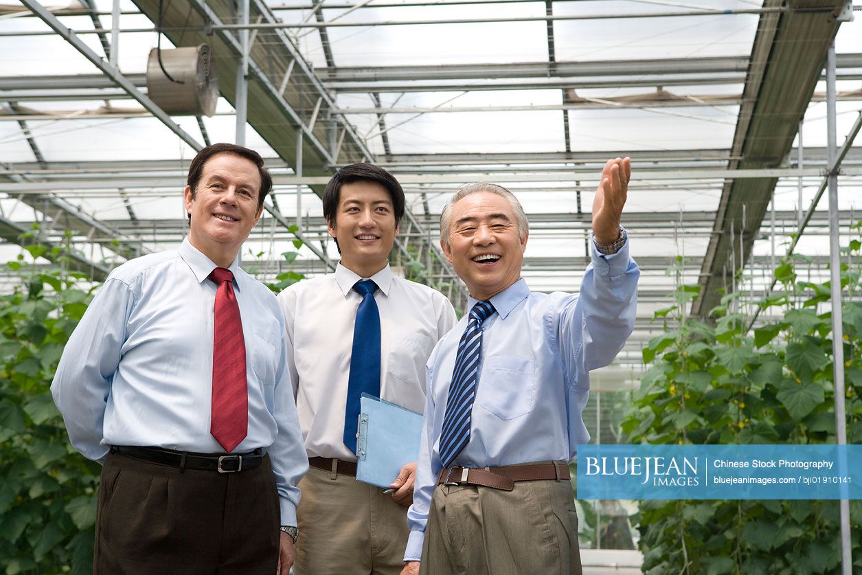 Businessmen in modern farm