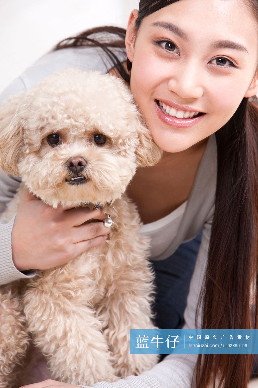 青年女子和泰迪狗
