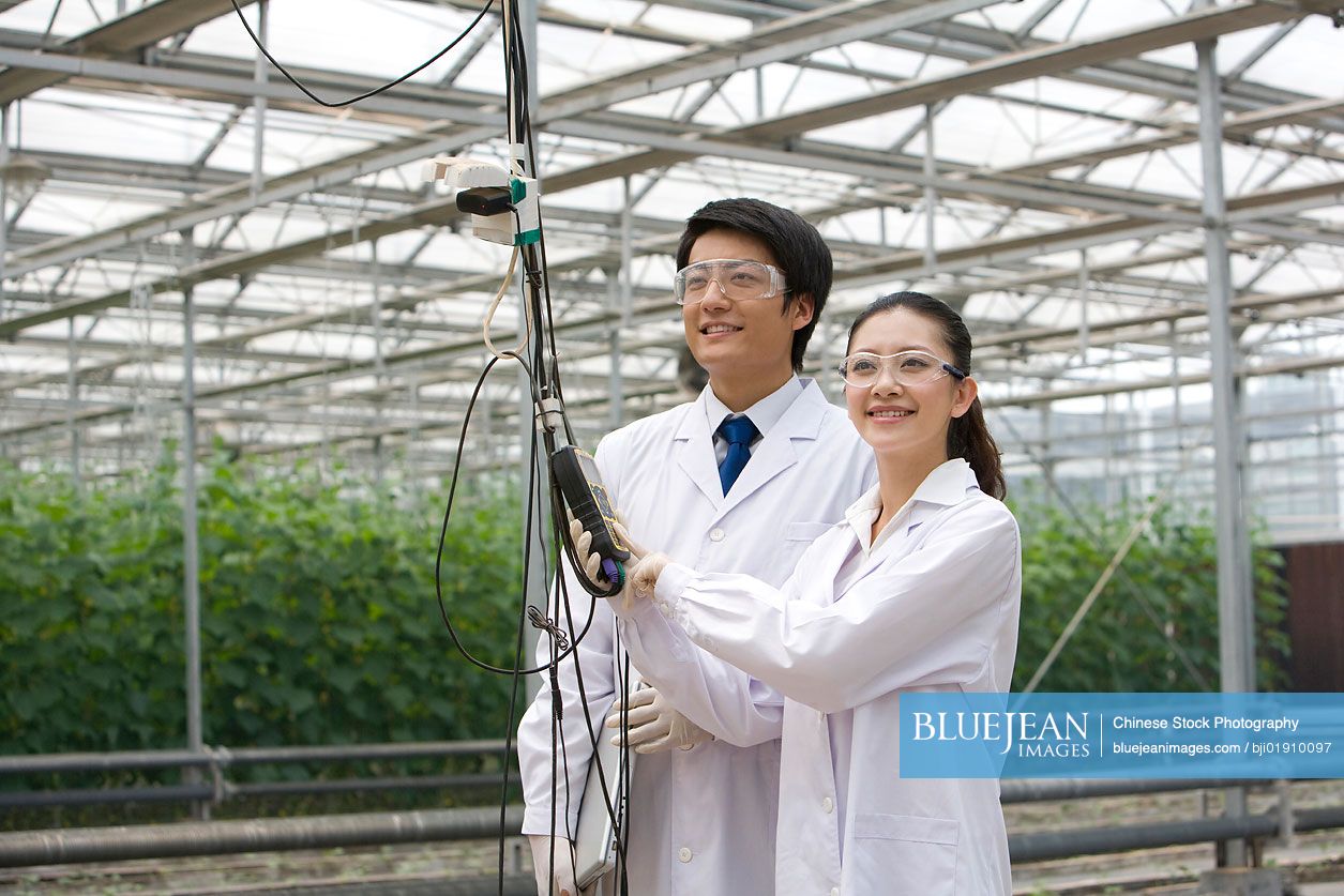 Chinese scientists doing research in modern farm