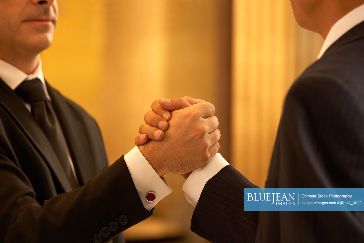 Business persons doing handshake