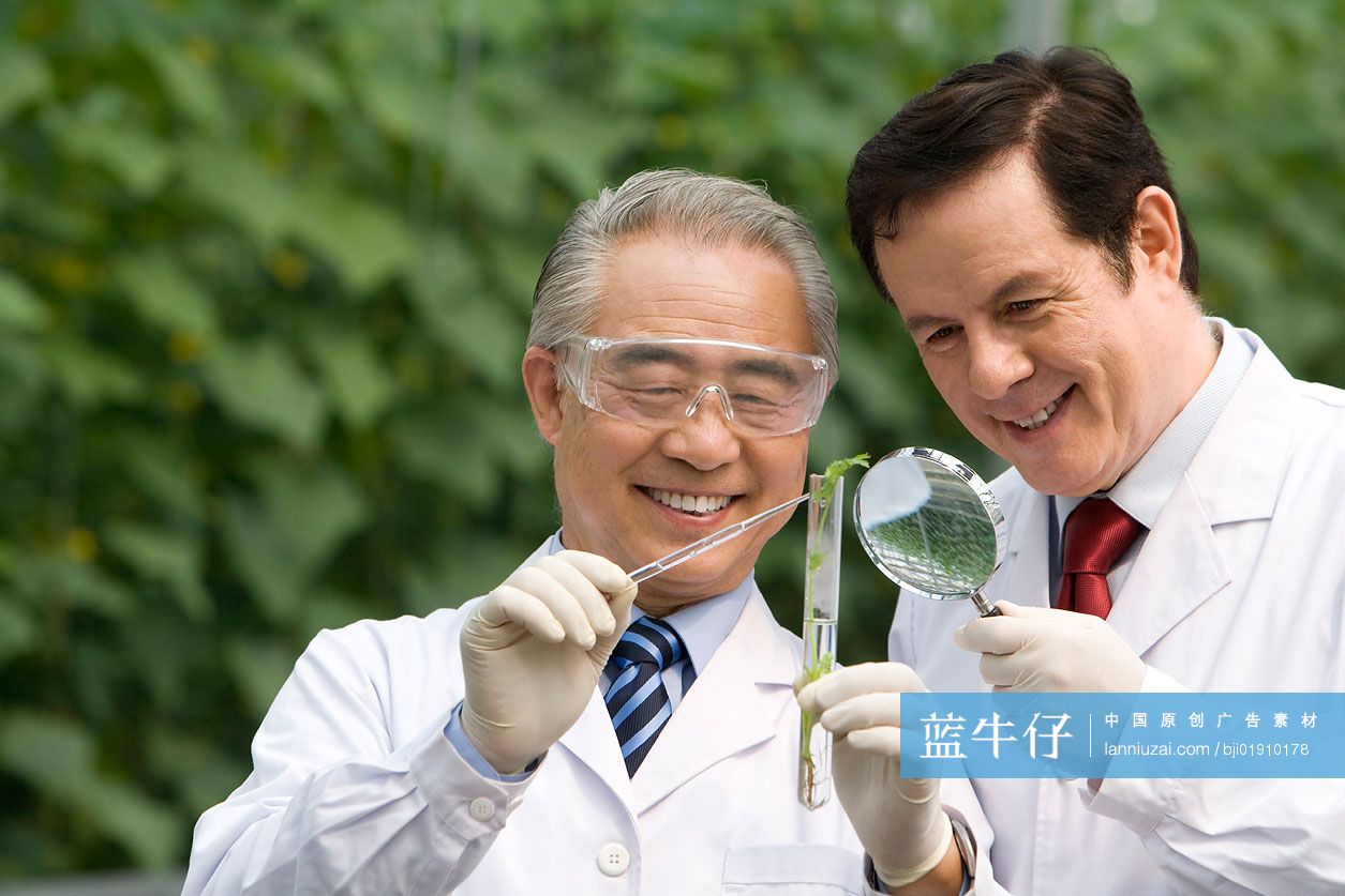 农艺师在现代农庄做科学研究