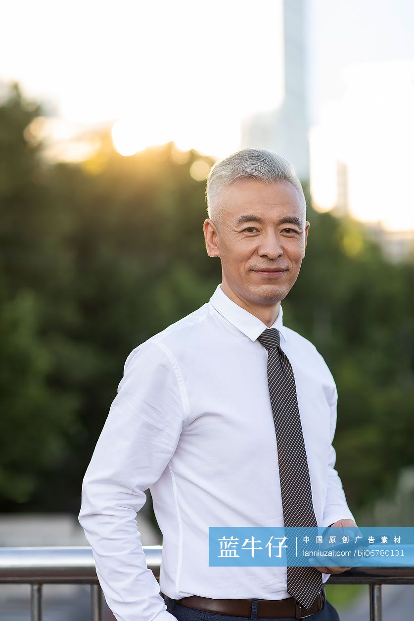 自信的商务人士肖像