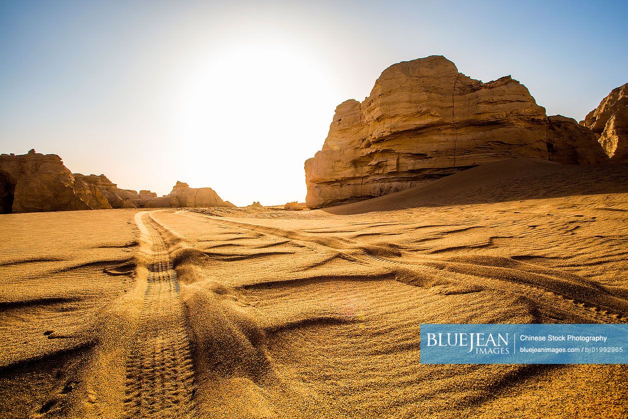 Dry desert