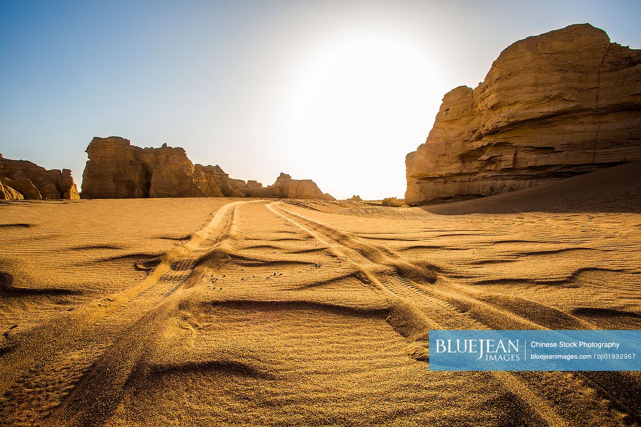Dry desert