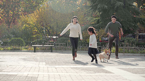 快乐的年轻家庭和宠物狗在户外玩耍
