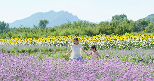 Happy Chinese mother and daughter in flower field,4K