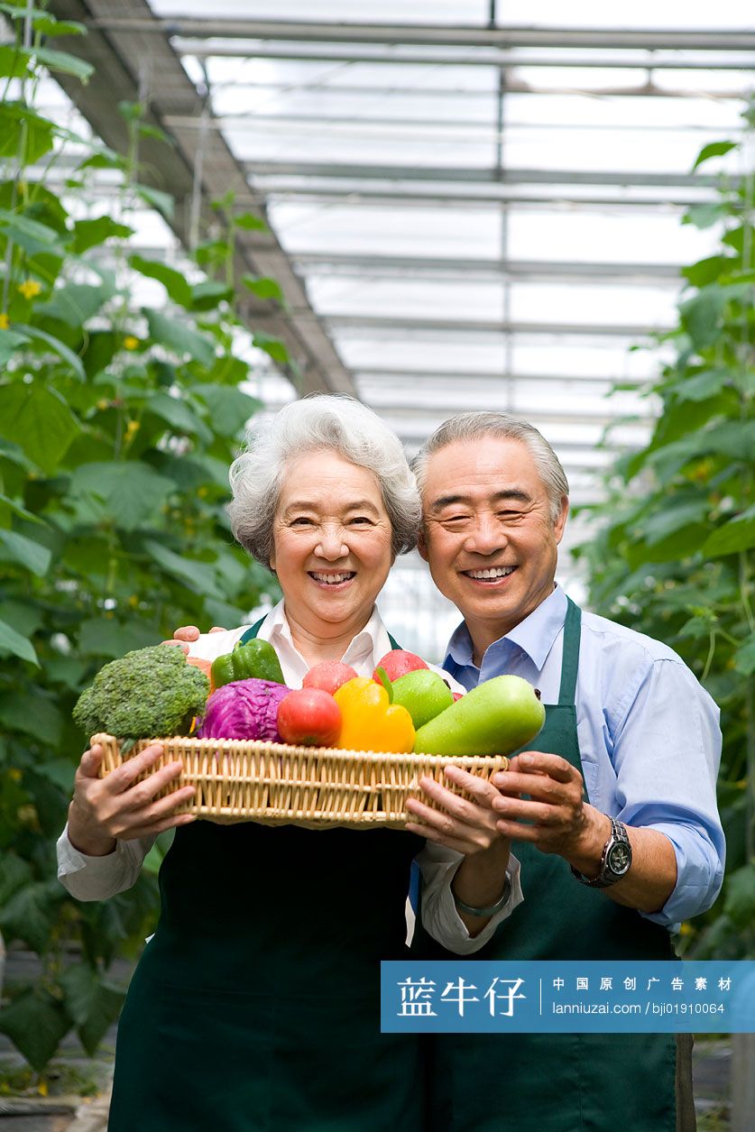 农场主手捧蔬菜