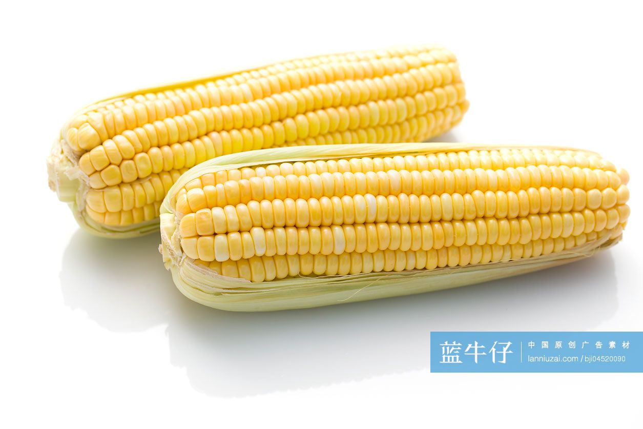 玉米
