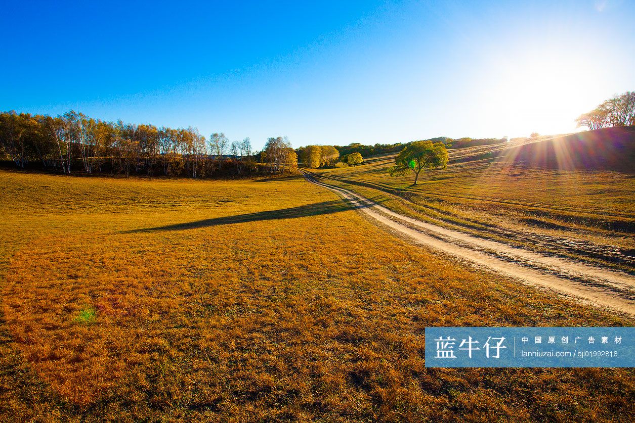 草原美景
