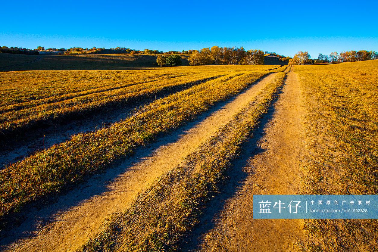 草原美景