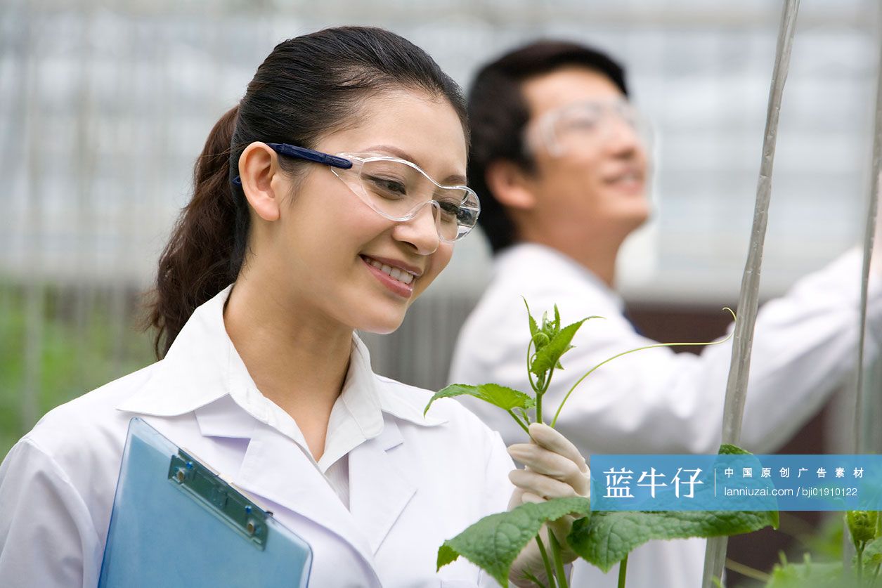 农艺师在现代农庄做科学研究