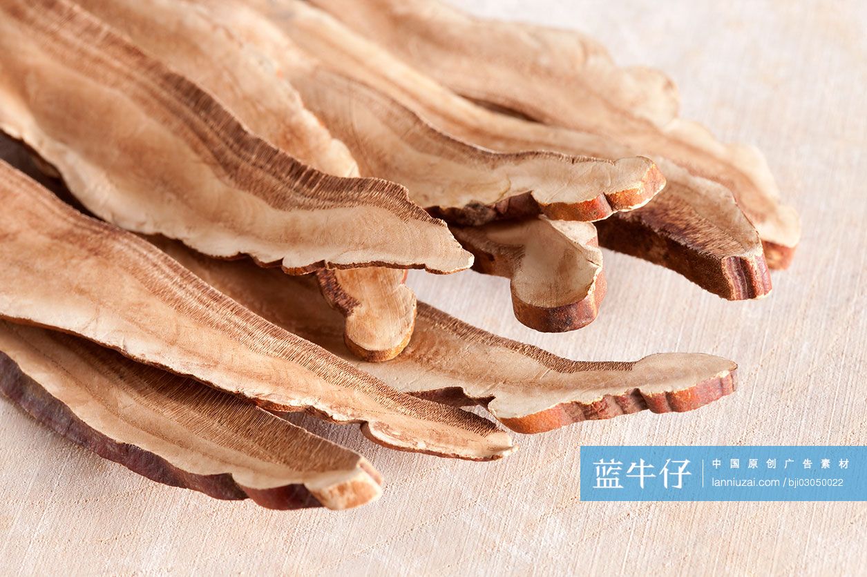灵芝切片