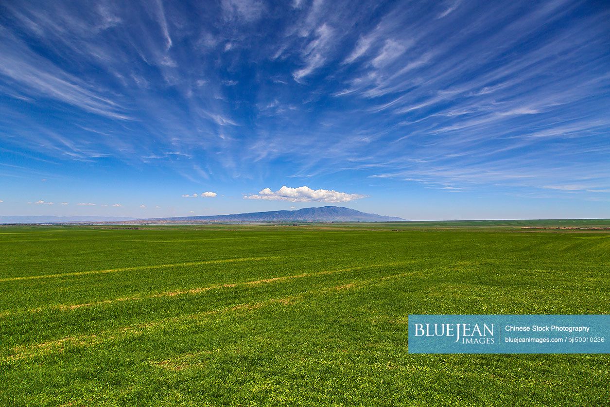 Sky and field in Gansu province, China