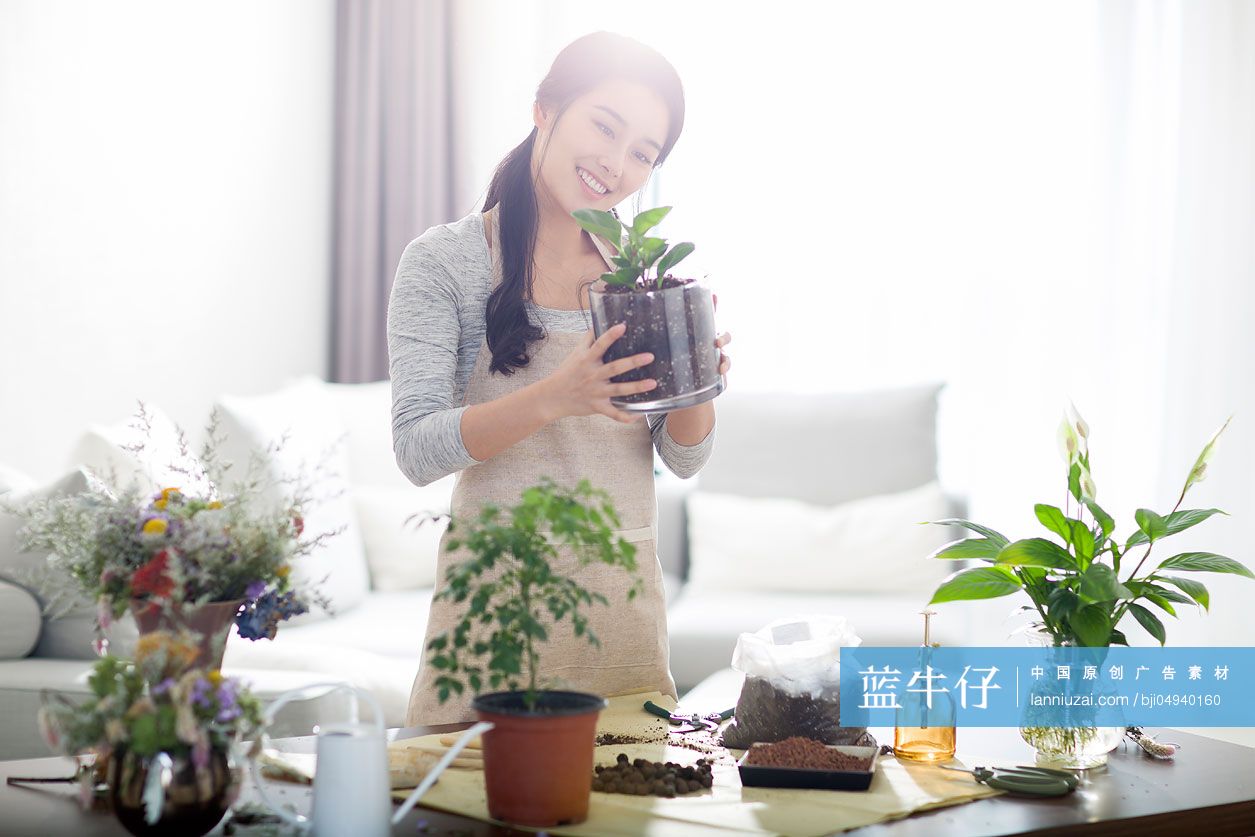 年轻女子在家种植盆栽-蓝牛仔影像-中国原创广告影像素材
