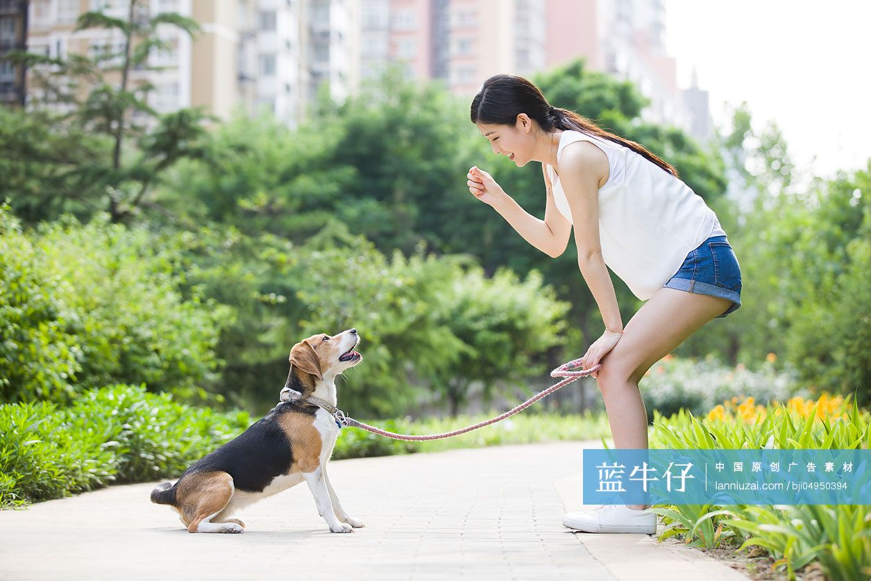 年轻女子和宠物狗嬉戏