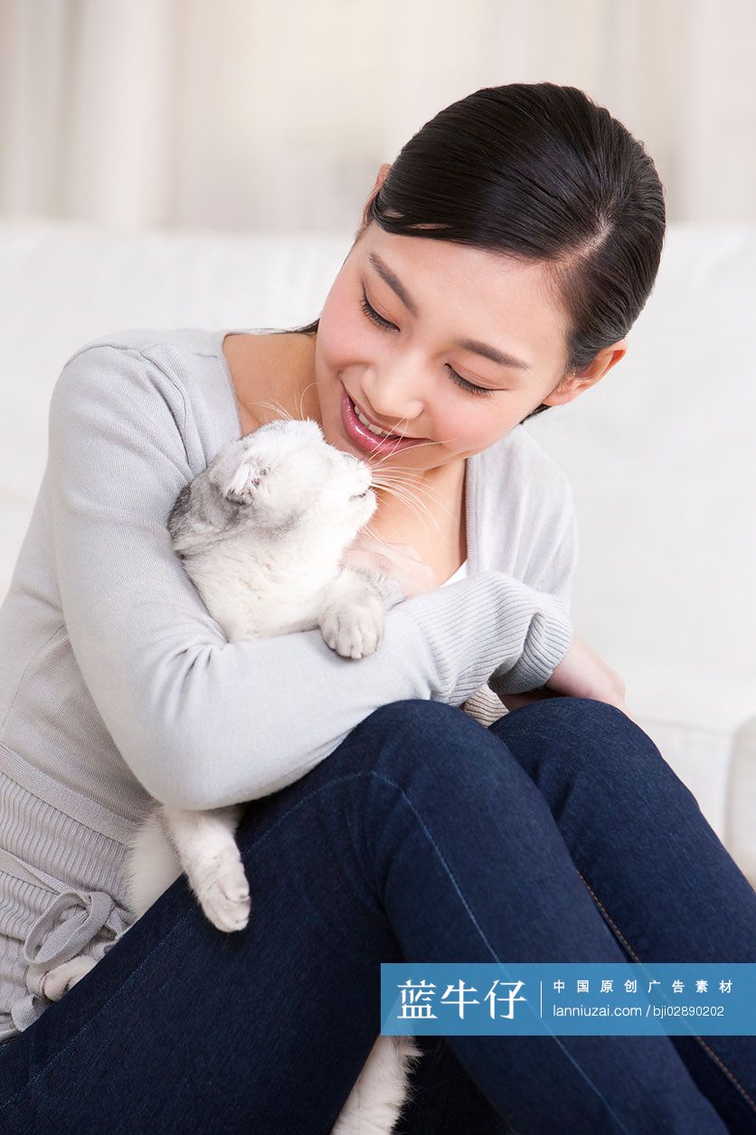 青年女子和苏格兰折耳猫