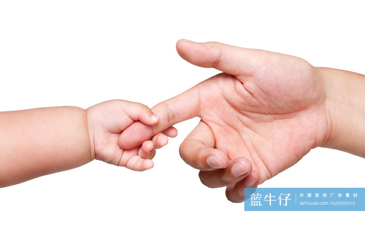 婴儿和成人手拉手