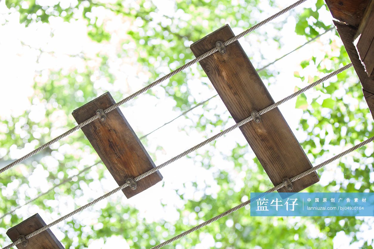 树上穿越活动