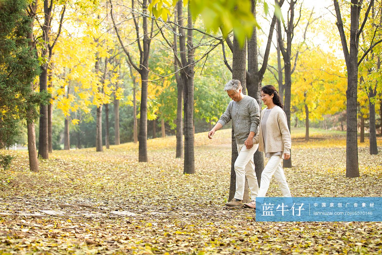 老年夫妇在公园牵手散步-蓝牛仔影像-中国原创广告影像素材