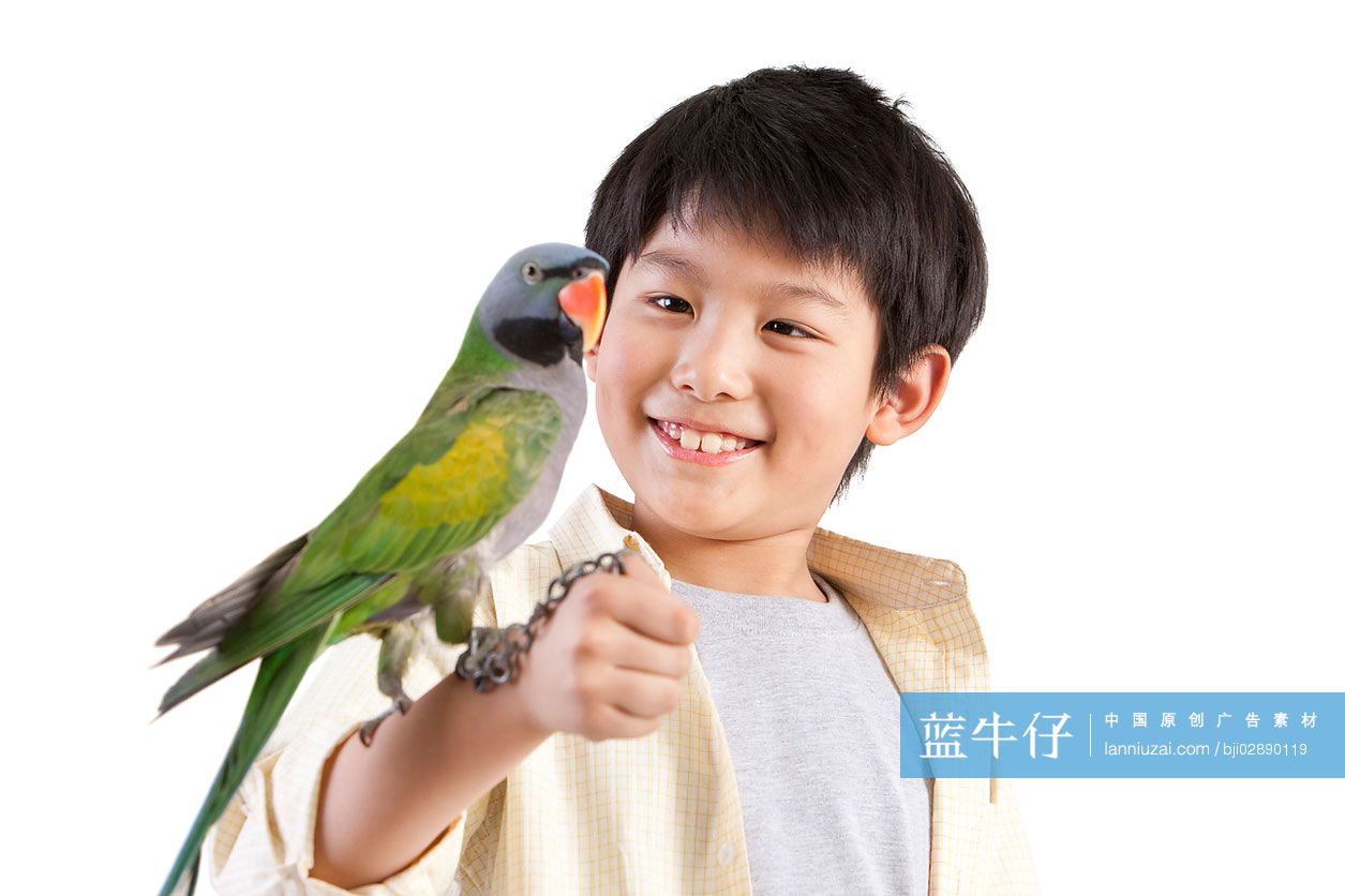 小男孩和鹦鹉