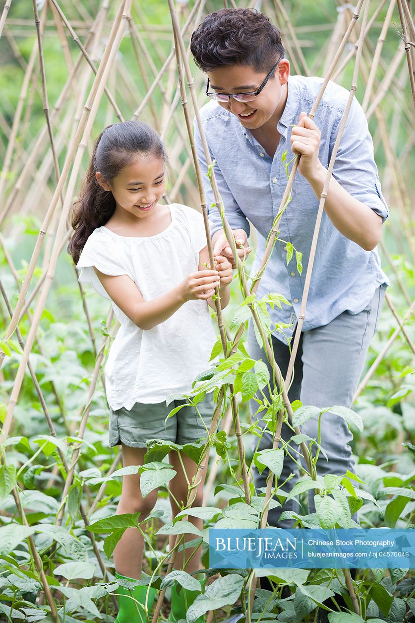 Young Chinese father and daughter gardening together