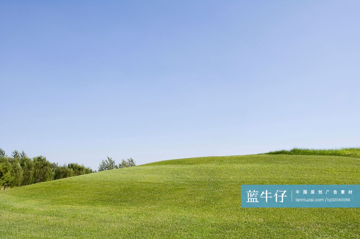 蓝天草地